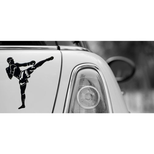 Naklejka 3D Sporty Walki E06-006 (E06-006)