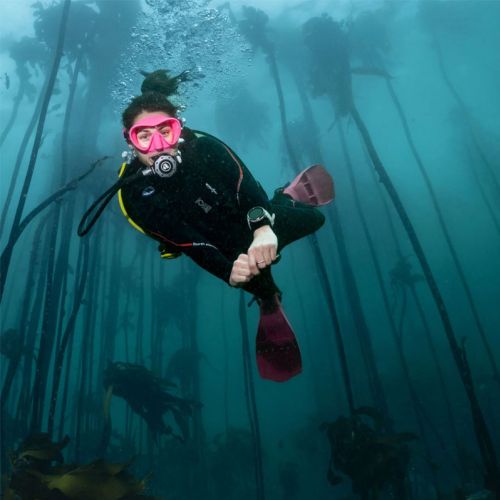 Suunto Ocean Sand ()